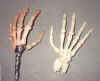 death_hands.jpg (275710 bytes)